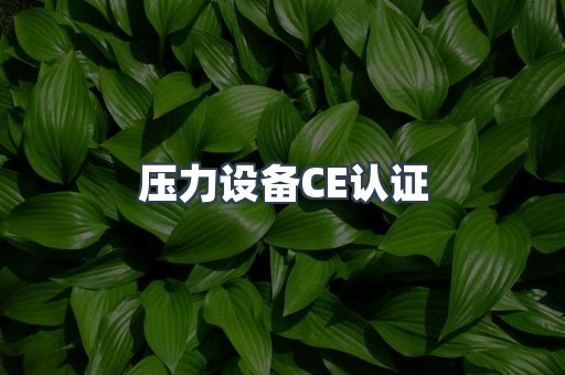 压力设备CE认证